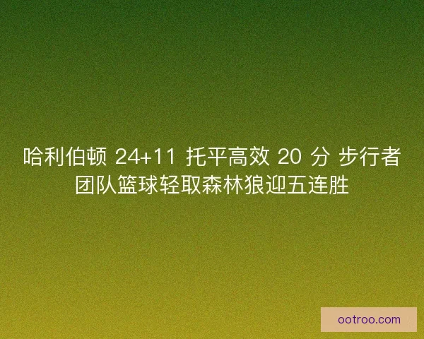 哈利伯顿 24+11 托平高效 20 分 步行者团队篮球轻取森林狼迎五连胜